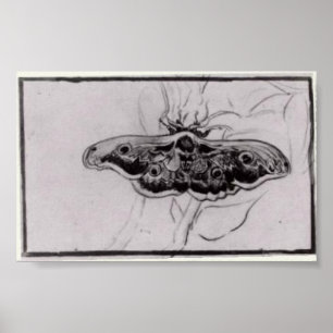 Poster Van Gogh - traça da cabeça de morte