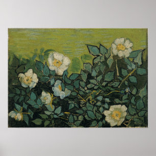 Poster Van Gogh - Wild Roses