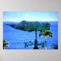 Vano Meteorológico Da Baleia-Humpback