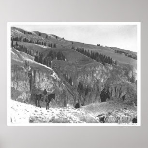 Poster Vaqueiro separado de seu rebanho