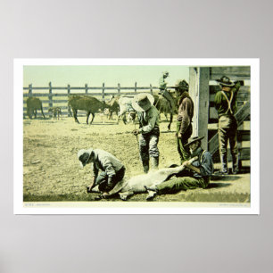 Poster Vaqueiros americanos que marcam uma vitela, c.1900
