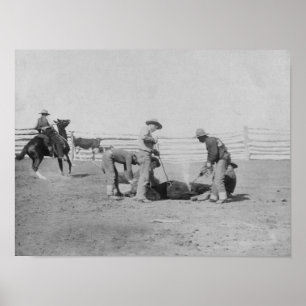 Pôster Vaqueiros que marcam uma vitela PhotographSouth