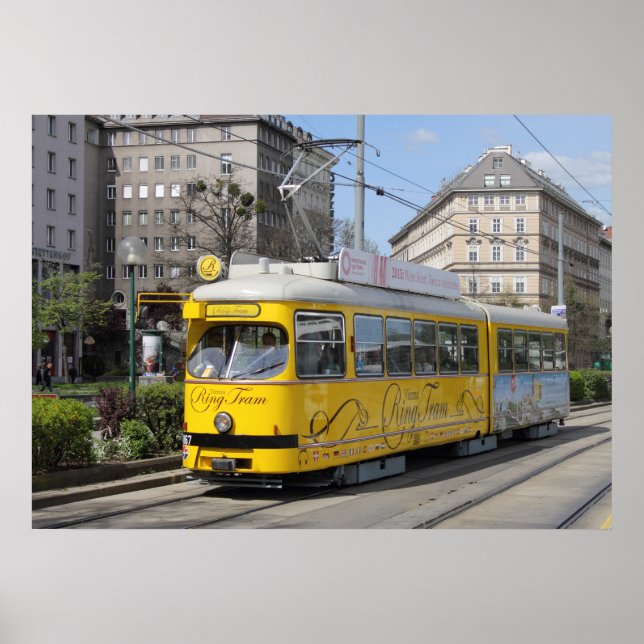 Pôster Vara Anel de Viena (Frente)