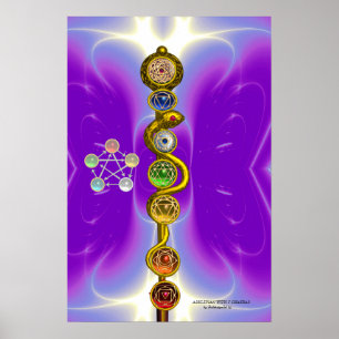 PÔSTER VARA DE ASCLEPIO 7 CHAKRAS, YOGA, ENERGIA ESPIRITU