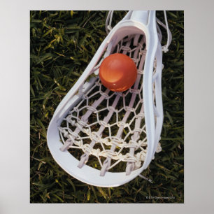 Pôster Vara e bola do Lacrosse