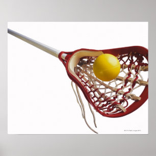 Pôster Vara e bola do Lacrosse