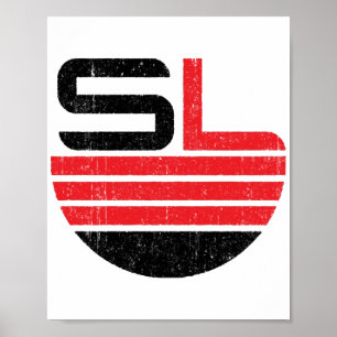 Poster Variante de Bolso do Peito da Star Labs
