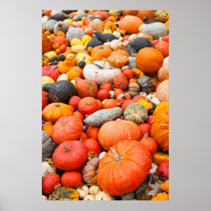 Poster Variedade de squash para venda, Alemanha