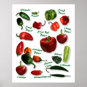 Poster Variedades da pimenta de pimentão