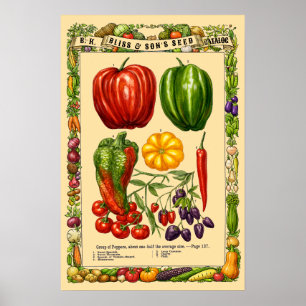 Poster Variedades de Pimenta Retro Era Vitoriana Arte Bot