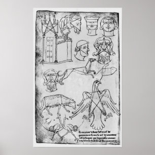 Poster Vários desenhos da Senhora Franco 19093 fol.18v