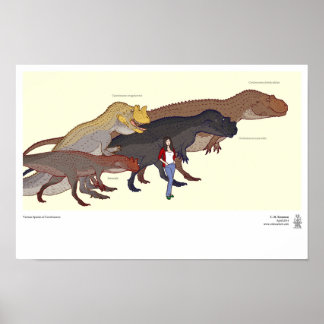 Poster Various Ceratosaurus Species