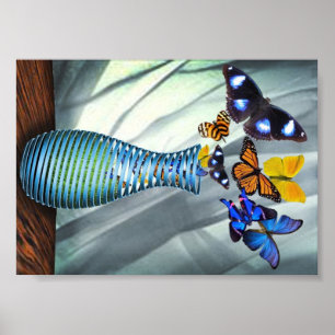 Pôster Vaso da borboleta