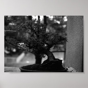 Poster Vaso de miniatura de bonsai de Guilin da China ant
