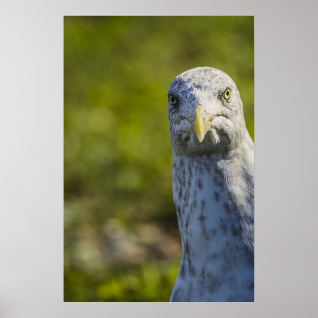 Pôster Vazio Velho (Adicione Seu Próprio Texto) (Frente)