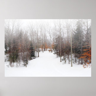 Pôster Veado de inverno