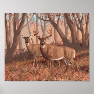 Poster Veado De Whitetail Na Floresta - Natureza Do Estil