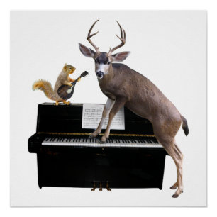 Pôster Veado e Esquilo no Piano