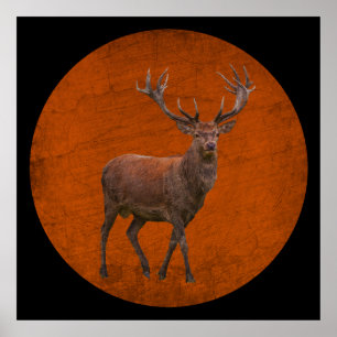 Poster veado-safra em laranja