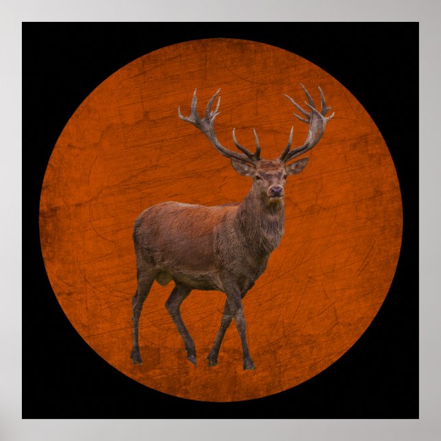 Poster veado vintage em natureza laranja (Frente)