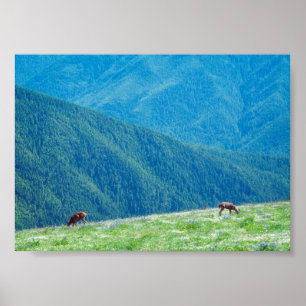 Poster Veados junto às Montanhas