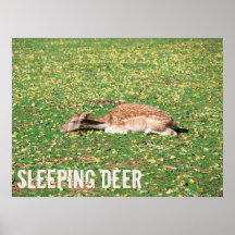 Vedante em hibernação no outono no prado