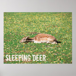 Poster Vedante em hibernação no outono no prado