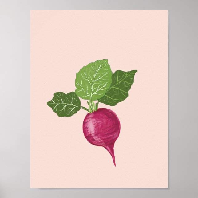 Poster Vegetable wall art - Raddish illustration (Frente)