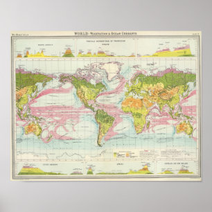 Poster Vegetação do mundo & mapa de correntes do oceano