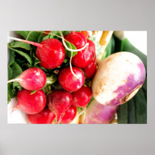 Poster Vegetais de raiz