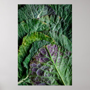 Poster Vegetal verde