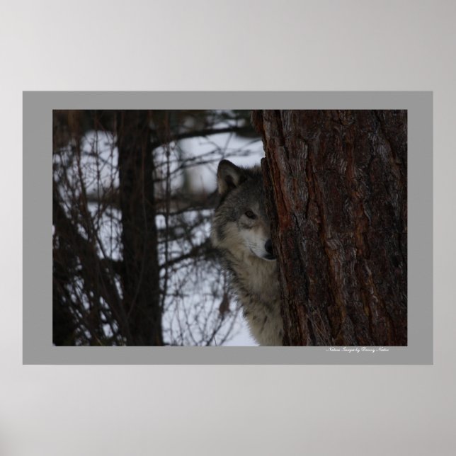 Poster Vejo Você (Frente)