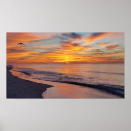 Pôster Vela da Manhã