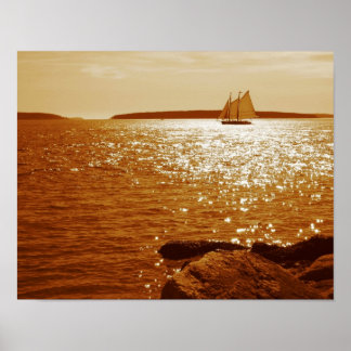 Poster Velejando, vamos