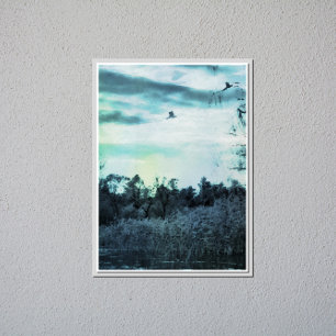Pôster Velha Aquarela com um Poster brilhante pássaro