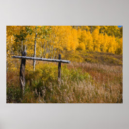 Pôster Velho esqui em Grand Mesa