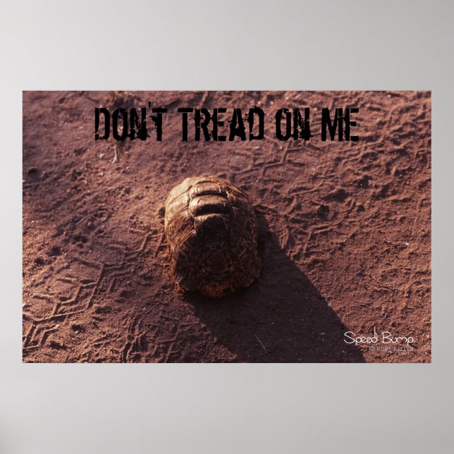 Pôster Velocidade (Frente)