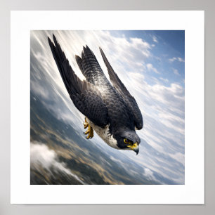 Poster Velocidade do Céu – Falcão Peregrino em Descida