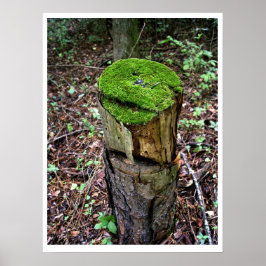 Poster Velvety Green Moss