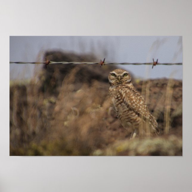 Poster vemo-nos! (Frente)