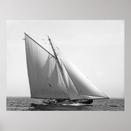 Pôster Vencedor Redux