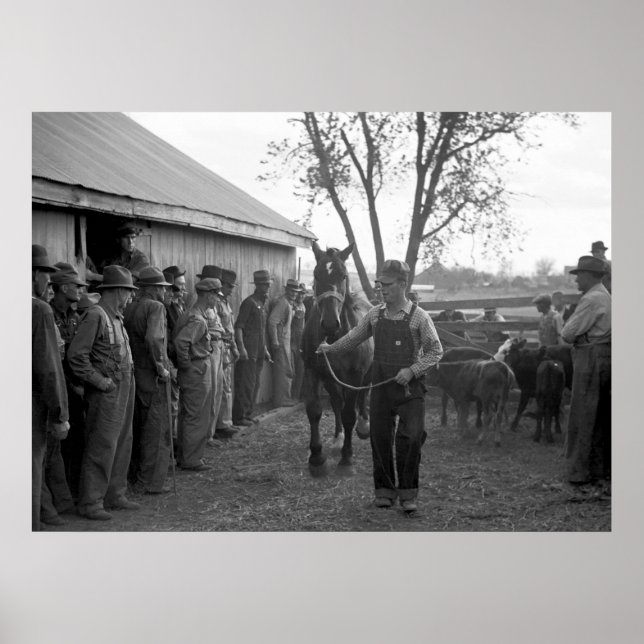 Pôster Venda de cavalos, 1939 (Frente)