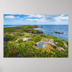 POSTER VENDA DE EXCELENTES, ILHAS DE VENDA, IRLANDA