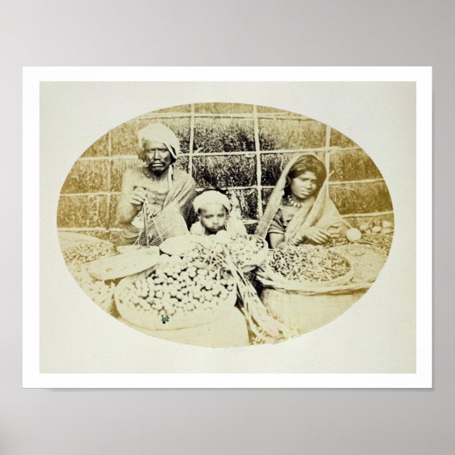 Poster Vendedores de legumes e Frutas hindus em Madras, 1 (Frente)