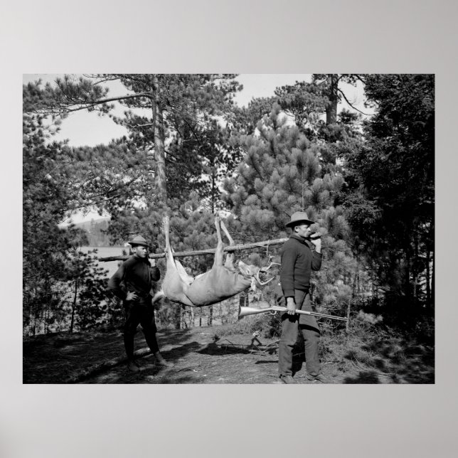 Pôster Veneno em um Stick, início dos anos 1900 (Frente)