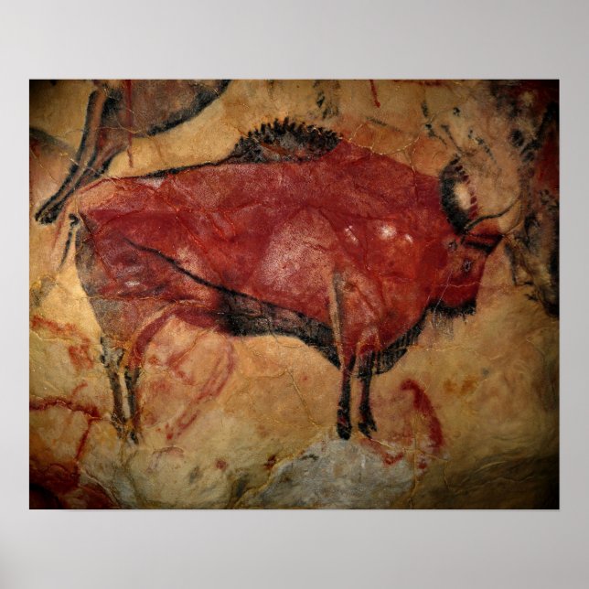 Poster Veneno feminino em Altamira (Frente)