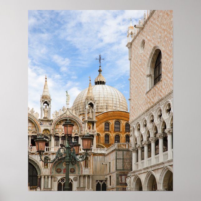 Pôster Veneza, Veneto, Itália - As aves estão empobrecida (Frente)