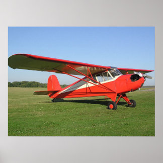 Pôster Venha voar comigo