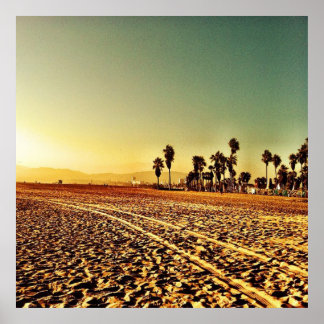 Pôster Venice Beach