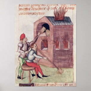 Pôster Ventiladores de vidro, 'de Tractatus de Herbis'